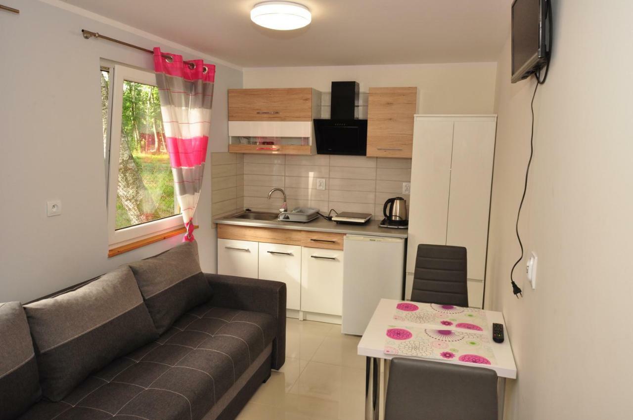 Nowe Komfortowe Domki Albatros Leba Exterior photo